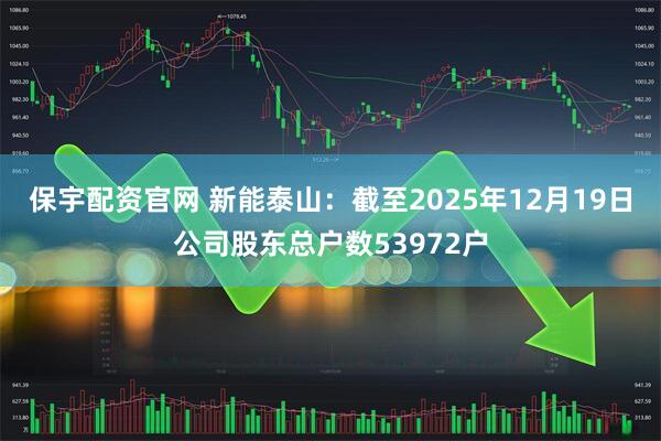 保宇配资官网 新能泰山：截至2025年12月19日公司股东总户数53972户